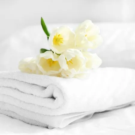 Moselunion - Haus Burg Chaussee Cochem