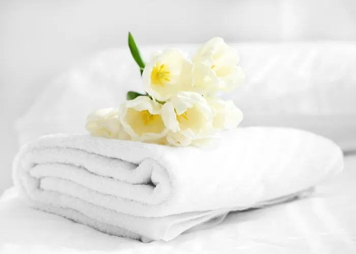 Moselunion - Haus Burg Chaussee 科赫姆